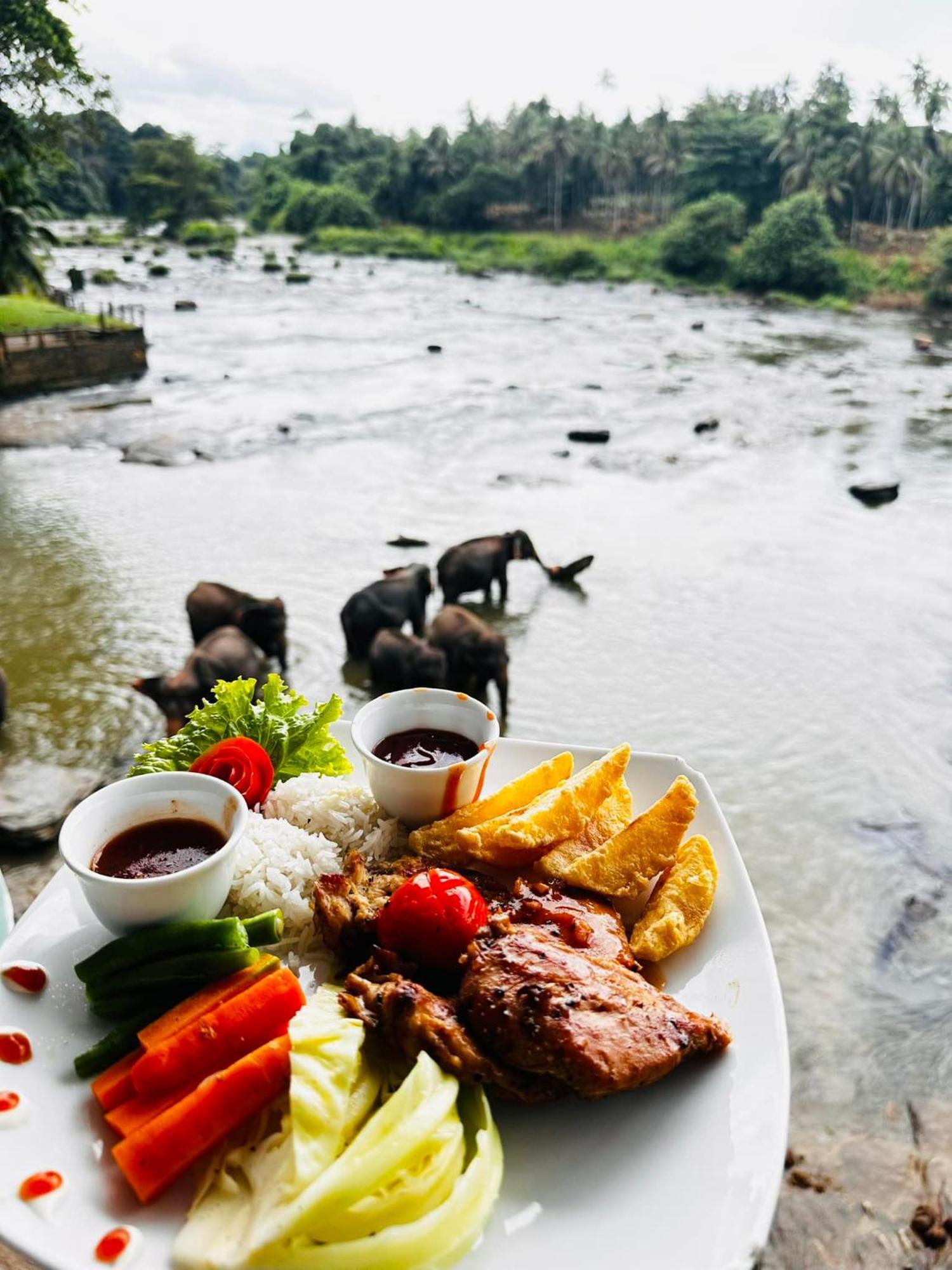 Hotel Elephant Park "Grand Royal Pinnalanda" Pinnawala  Ngoại thất bức ảnh