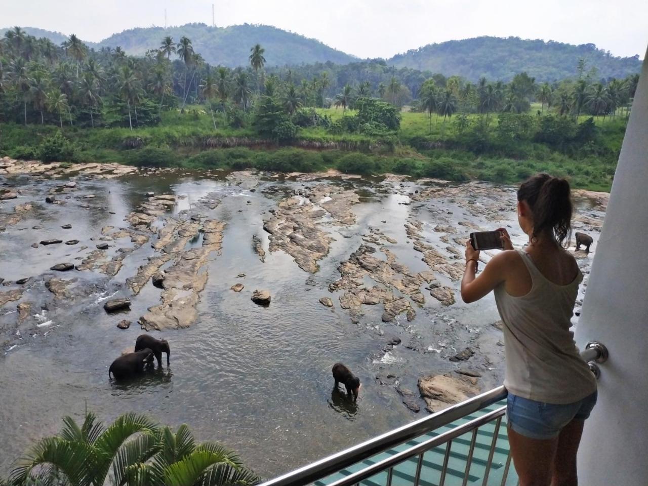 Hotel Elephant Park "Grand Royal Pinnalanda" Pinnawala  Ngoại thất bức ảnh