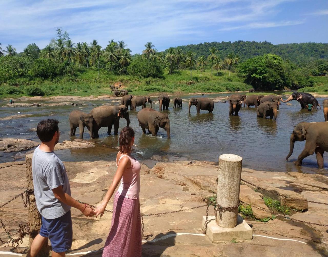 Hotel Elephant Park "Grand Royal Pinnalanda" Pinnawala  Ngoại thất bức ảnh