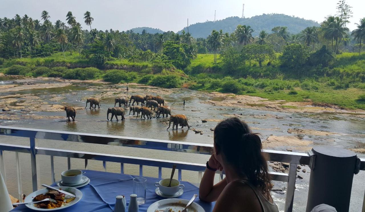 Hotel Elephant Park "Grand Royal Pinnalanda" Pinnawala  Ngoại thất bức ảnh